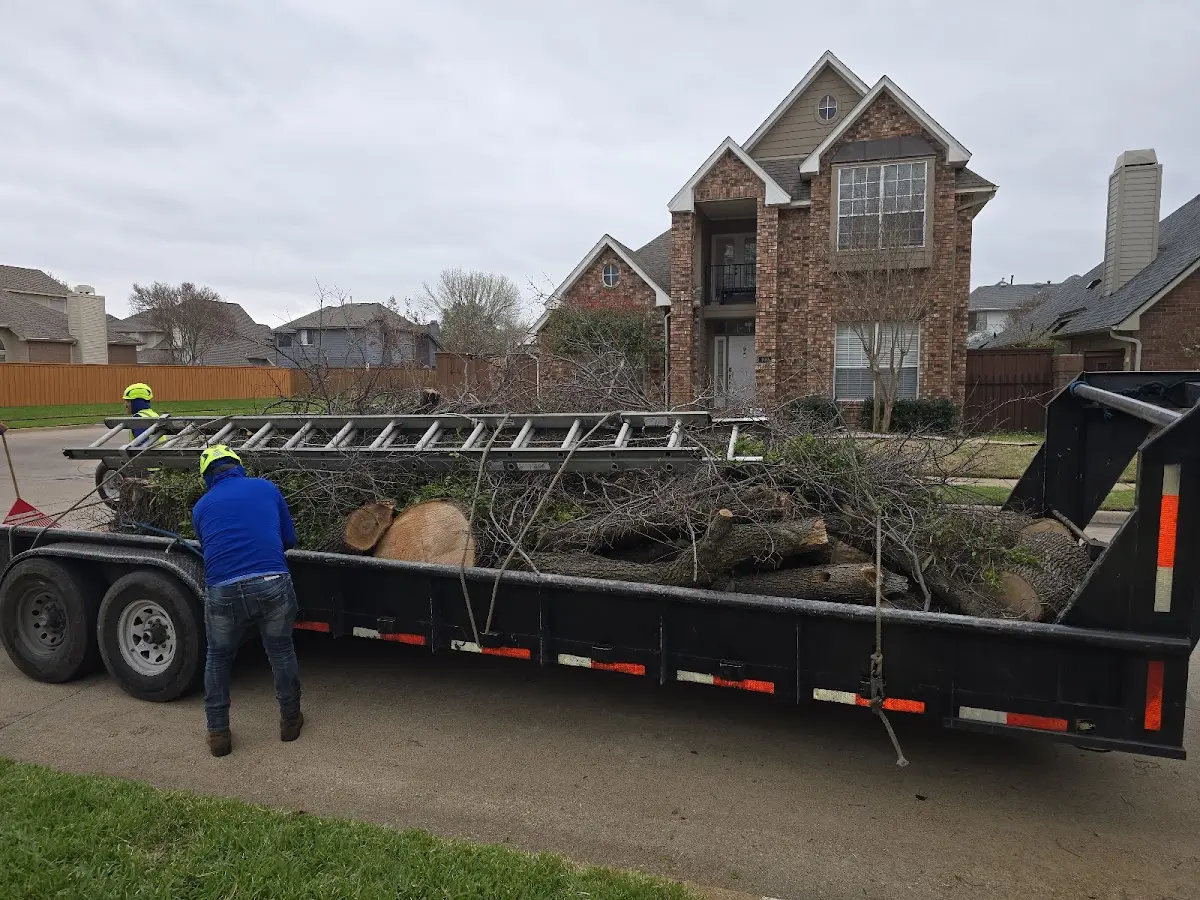 Expert Tree Fertilization with proper safety equipment in Fertile
